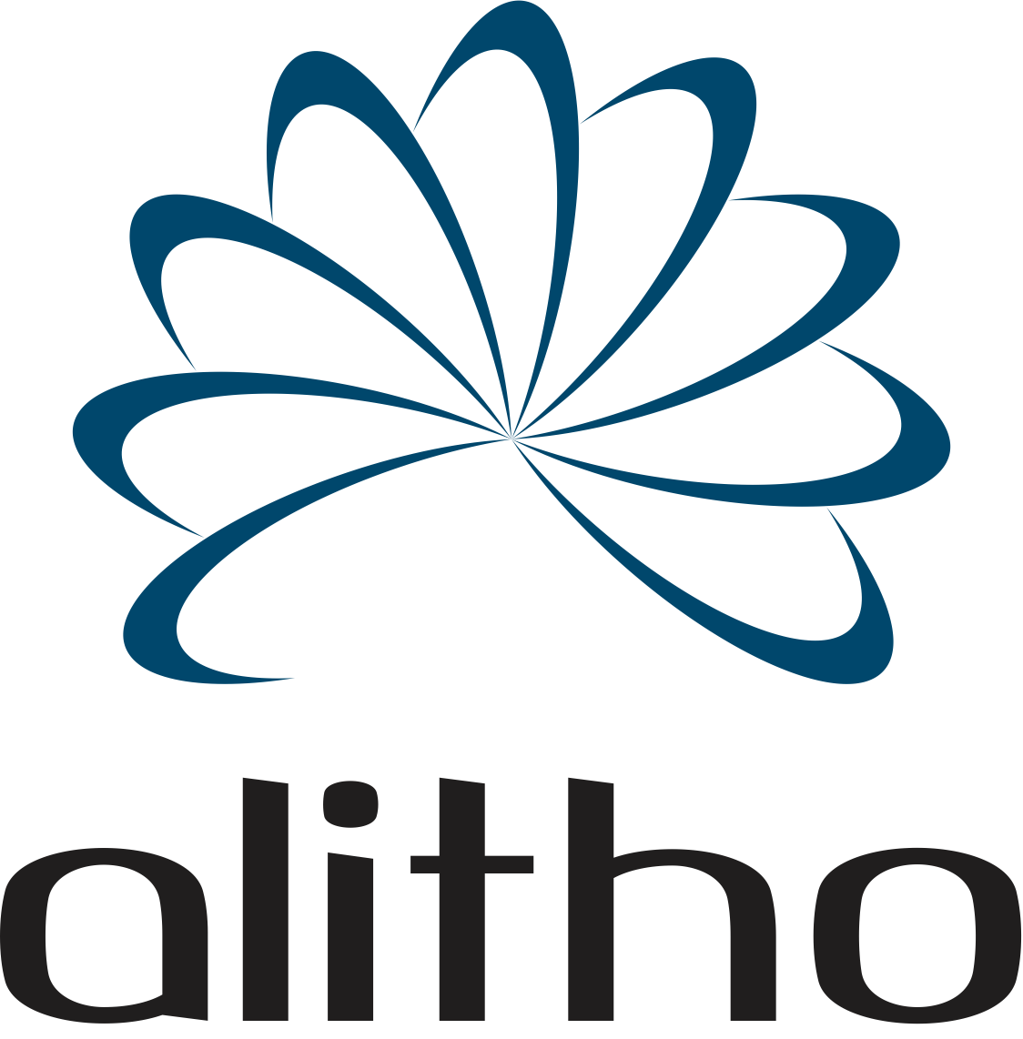 Large Logo